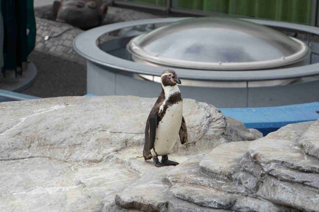 Ozeaneum Stralsund